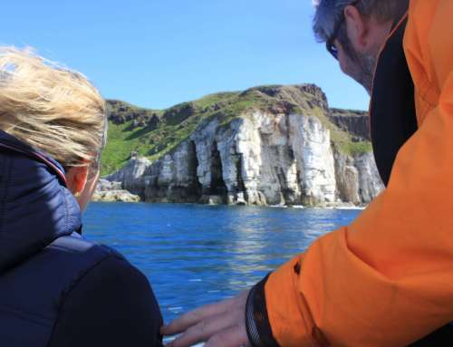 Ballycastle Boat Tours – a Quick Guide
